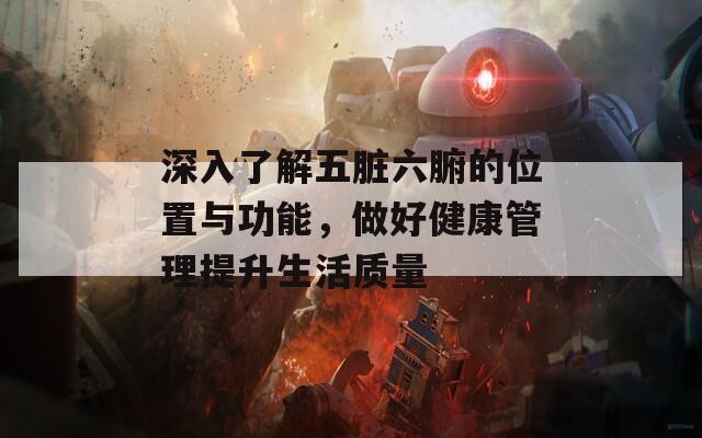 深入了解五脏六腑的位置与功能，做好健康管理提升生活质量