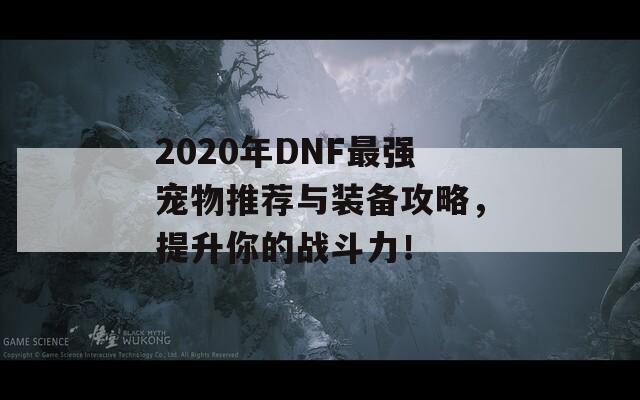 2020年DNF最强宠物推荐与装备攻略，提升你的战斗力！