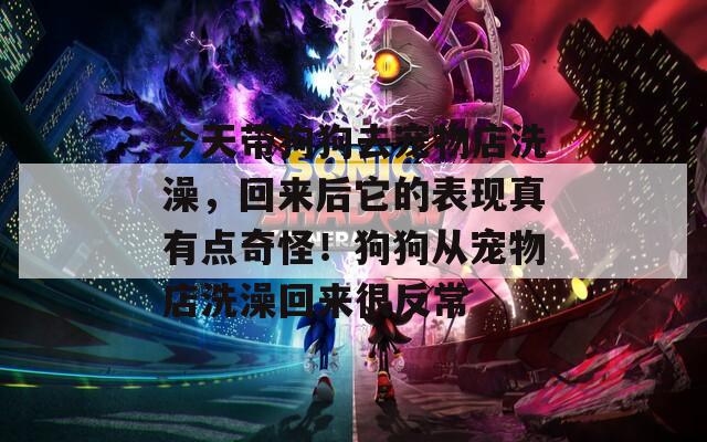 今天带狗狗去宠物店洗澡，回来后它的表现真有点奇怪！狗狗从宠物店洗澡回来很反常