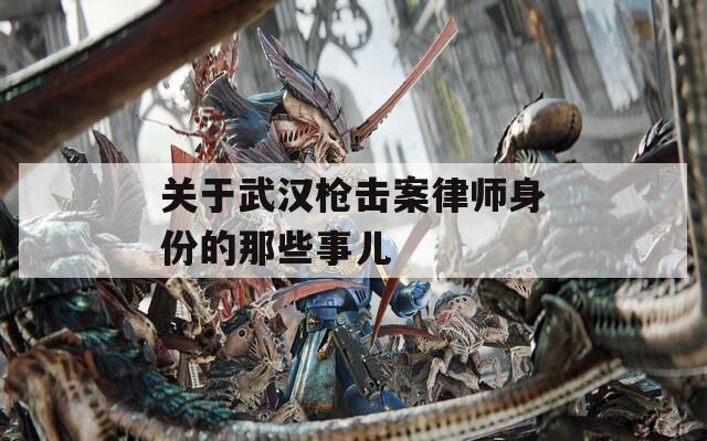 关于武汉枪击案律师身份的那些事儿