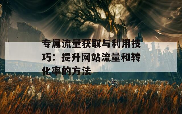 专属流量获取与利用技巧：提升网站流量和转化率的方法