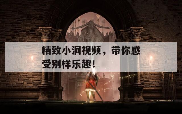 精致小洞视频，带你感受别样乐趣！