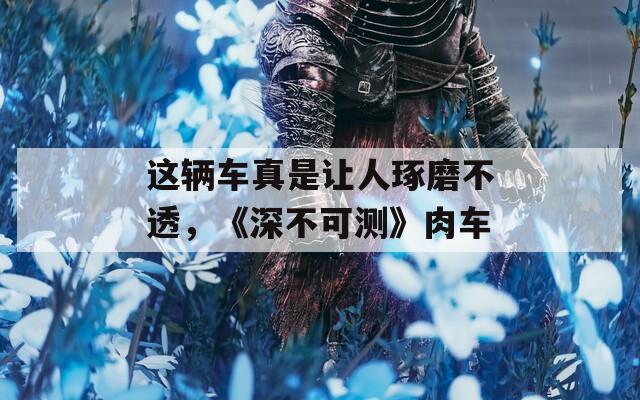 这辆车真是让人琢磨不透，《深不可测》肉车