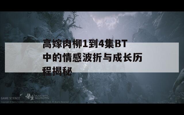 高嫁肉柳1到4集BT中的情感波折与成长历程揭秘
