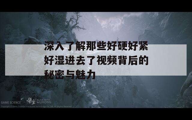 深入了解那些好硬好紧好湿进去了视频背后的秘密与魅力