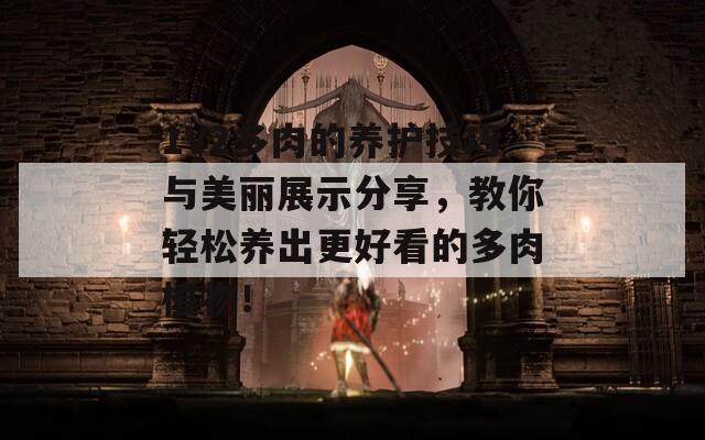 1V2多肉的养护技巧与美丽展示分享，教你轻松养出更好看的多肉植物！