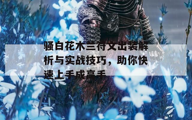 骚白花木兰符文出装解析与实战技巧，助你快速上手成高手