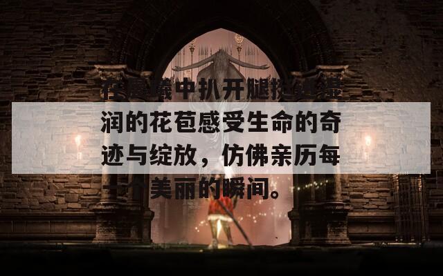 在晨曦中扒开腿挺进湿润的花苞感受生命的奇迹与绽放，仿佛亲历每一个美丽的瞬间。