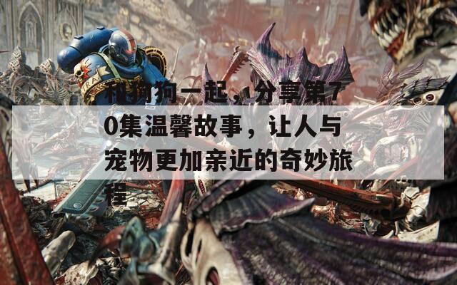 和狗狗一起，分享第70集温馨故事，让人与宠物更加亲近的奇妙旅程