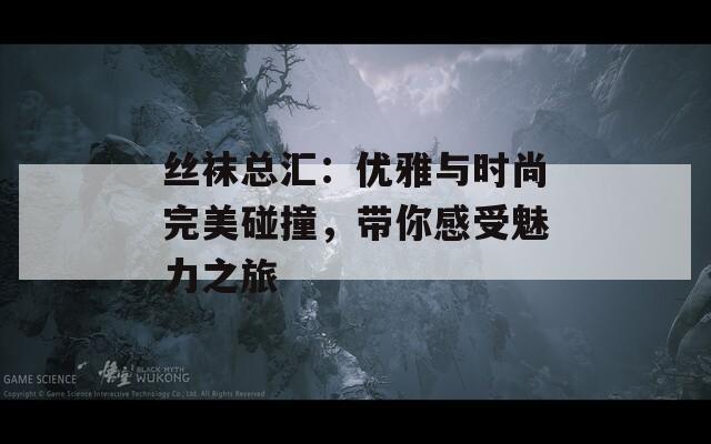 丝袜总汇：优雅与时尚完美碰撞，带你感受魅力之旅