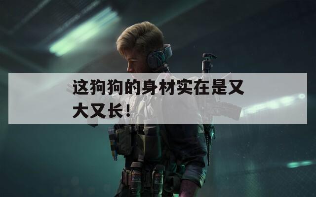 这狗狗的身材实在是又大又长！