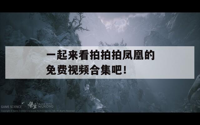 一起来看拍拍拍凤凰的免费视频合集吧！
