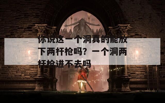 你说这一个洞真的能放下两杆枪吗？一个洞两杆枪进不去吗