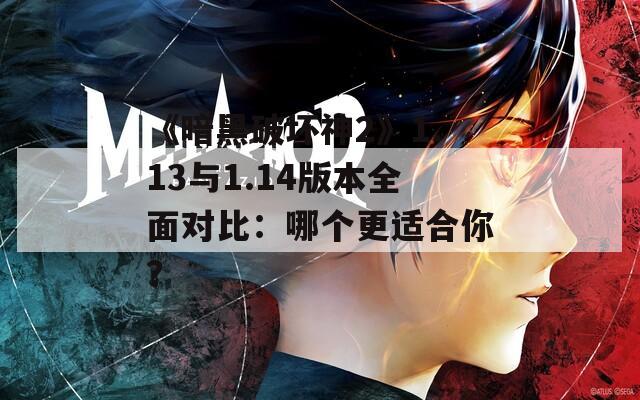 《暗黑破坏神2》1.13与1.14版本全面对比：哪个更适合你？