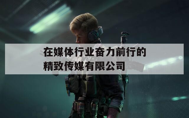 在媒体行业奋力前行的精致传媒有限公司