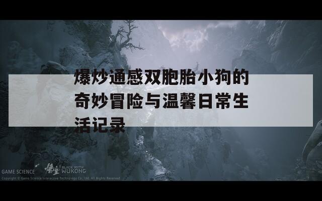 爆炒通感双胞胎小狗的奇妙冒险与温馨日常生活记录