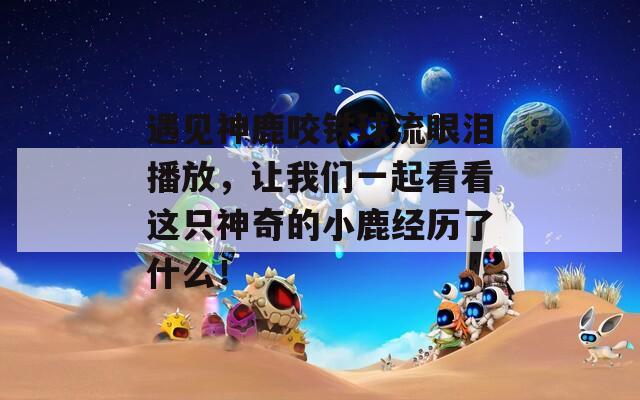 遇见神鹿咬铁球流眼泪播放，让我们一起看看这只神奇的小鹿经历了什么！