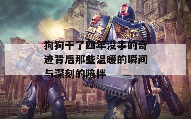 狗狗干了四年没事的奇迹背后那些温暖的瞬间与深刻的陪伴