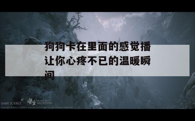 狗狗卡在里面的感觉播让你心疼不已的温暖瞬间