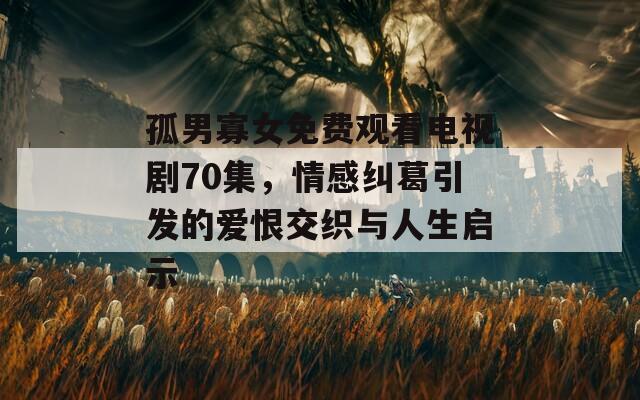 孤男寡女免费观看电视剧70集，情感纠葛引发的爱恨交织与人生启示