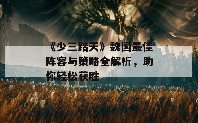 《少三踏天》魏国最佳阵容与策略全解析，助你轻松获胜