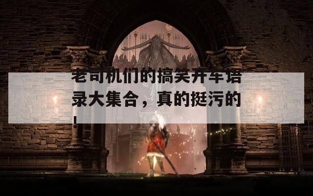 老司机们的搞笑开车语录大集合，真的挺污的！