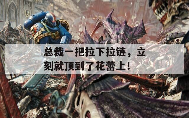 总裁一把拉下拉链，立刻就顶到了花蕾上！
