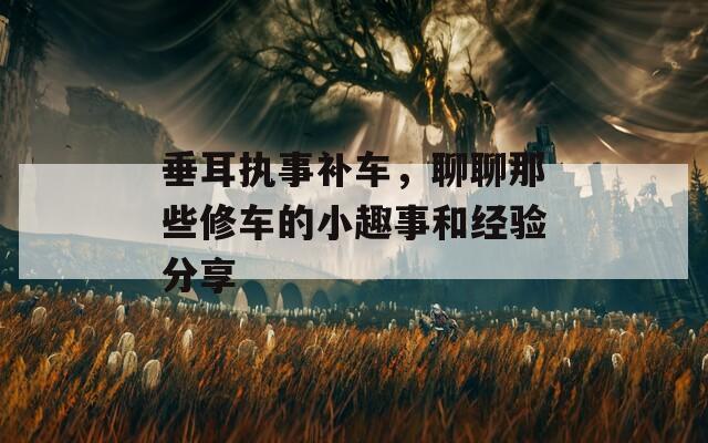垂耳执事补车，聊聊那些修车的小趣事和经验分享