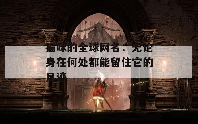 猫咪的全球网名：无论身在何处都能留住它的足迹