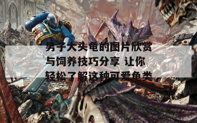 男子大头龟的图片欣赏与饲养技巧分享 让你轻松了解这种可爱龟类