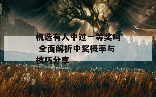 机选有人中过一等奖吗 全面解析中奖概率与技巧分享