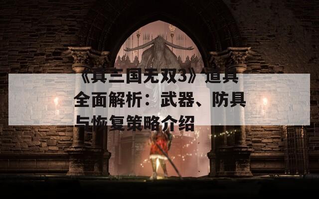 《真三国无双3》道具全面解析：武器、防具与恢复策略介绍