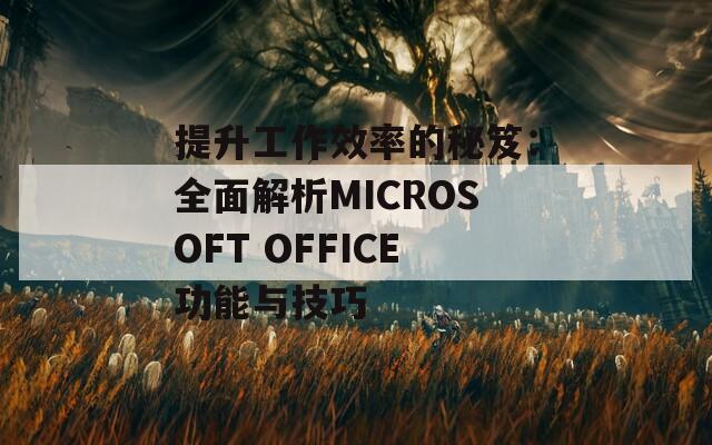 提升工作效率的秘笈：全面解析MICROSOFT OFFICE功能与技巧
