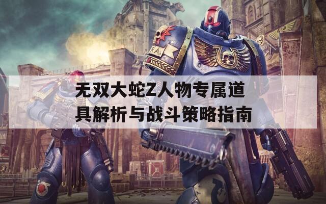 无双大蛇Z人物专属道具解析与战斗策略指南
