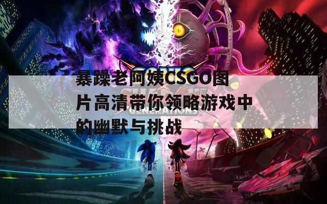 暴躁老阿姨CSGO图片高清带你领略游戏中的幽默与挑战