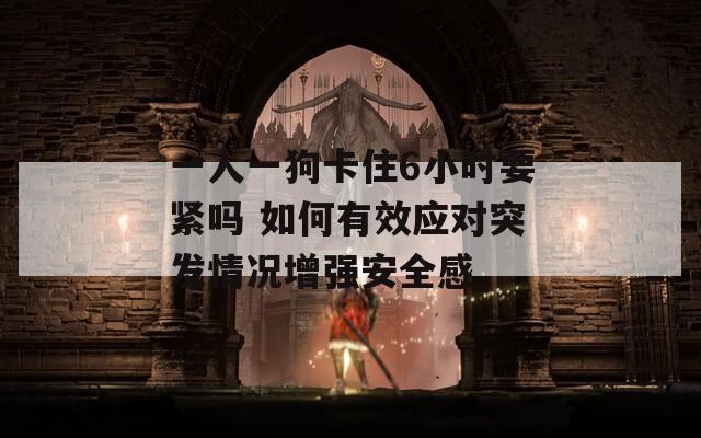 一人一狗卡住6小时要紧吗 如何有效应对突发情况增强安全感
