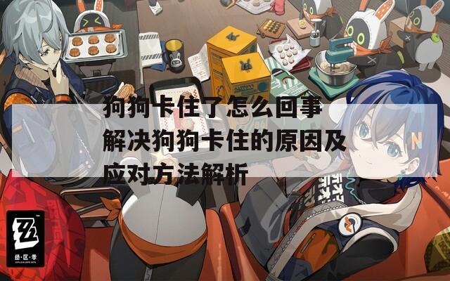狗狗卡住了怎么回事 解决狗狗卡住的原因及应对方法解析