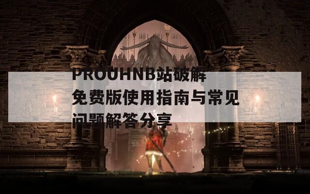 PROUHNB站破解免费版使用指南与常见问题解答分享