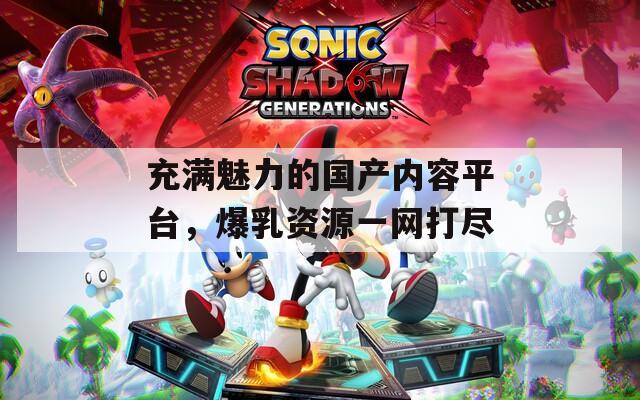 充满魅力的国产内容平台，爆乳资源一网打尽
