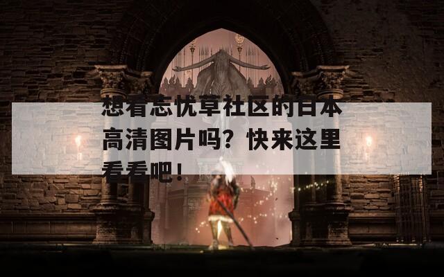 想看忘忧草社区的日本高清图片吗？快来这里看看吧！