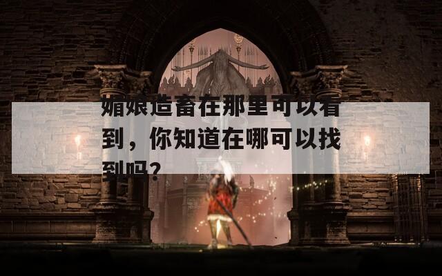 媚娘造畜在那里可以看到，你知道在哪可以找到吗？