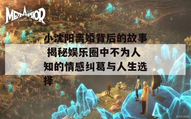 小沈阳离婚背后的故事 揭秘娱乐圈中不为人知的情感纠葛与人生选择