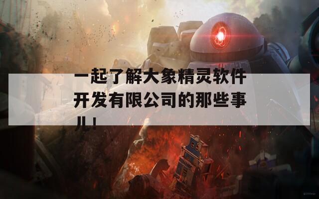 一起了解大象精灵软件开发有限公司的那些事儿！