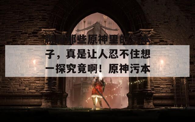 聊聊那些原神里的污本子，真是让人忍不住想一探究竟啊！原神污本子