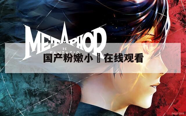 国产粉嫩小泬在线观看