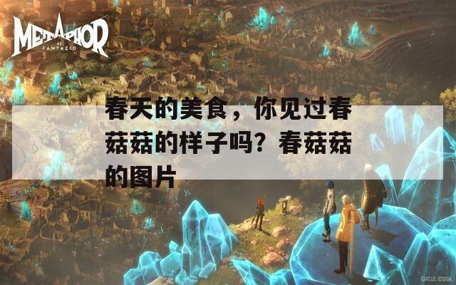 春天的美食，你见过春菇菇的样子吗？春菇菇的图片