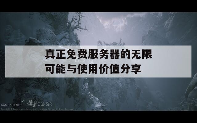 真正免费服务器的无限可能与使用价值分享