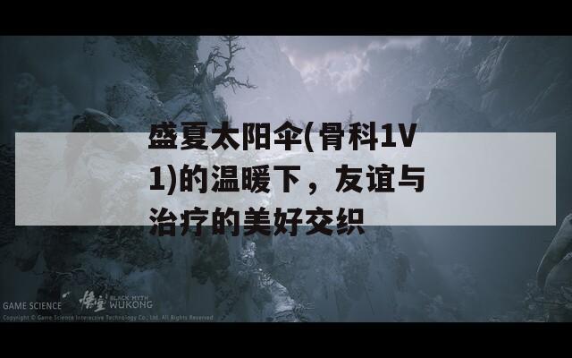 盛夏太阳伞(骨科1V1)的温暖下，友谊与治疗的美好交织