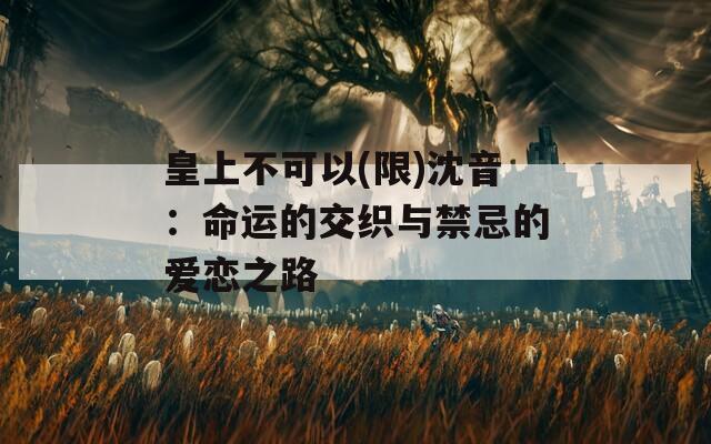 皇上不可以(限)沈音：命运的交织与禁忌的爱恋之路