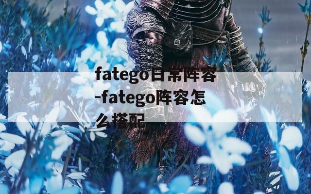 fatego日常阵容-fatego阵容怎么搭配